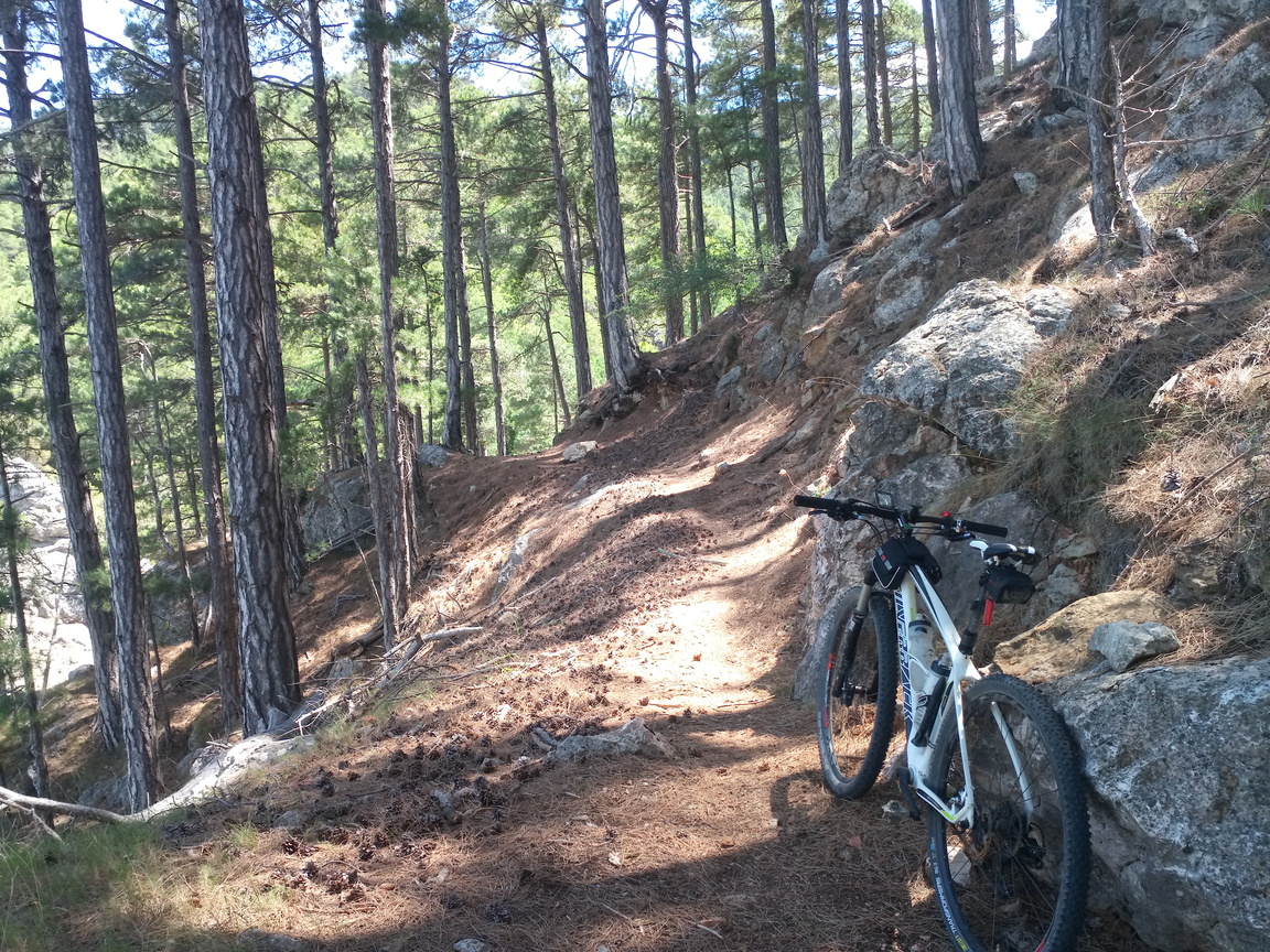 Sender Btt Ports Tortosa